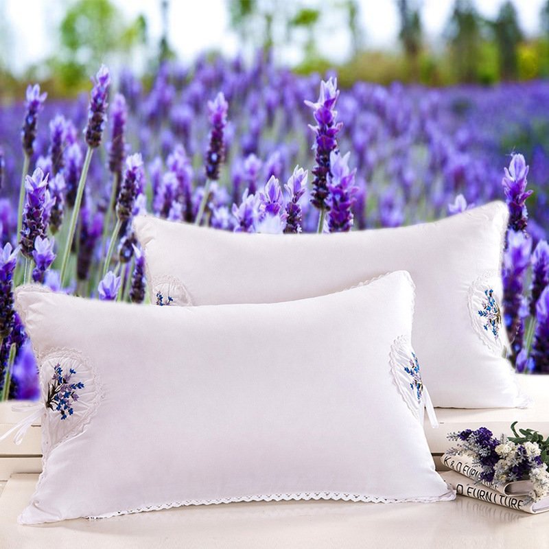 Ruột gối thơm lavender cao cấp, ruột gối hơi kháng khuẩn mềm mại kt45x65cm. tgti365