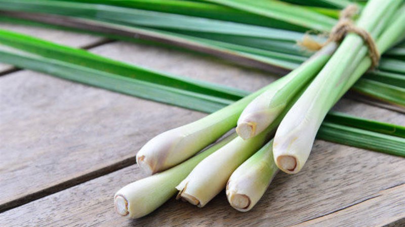 Citronella sliced dried package 100g long storage