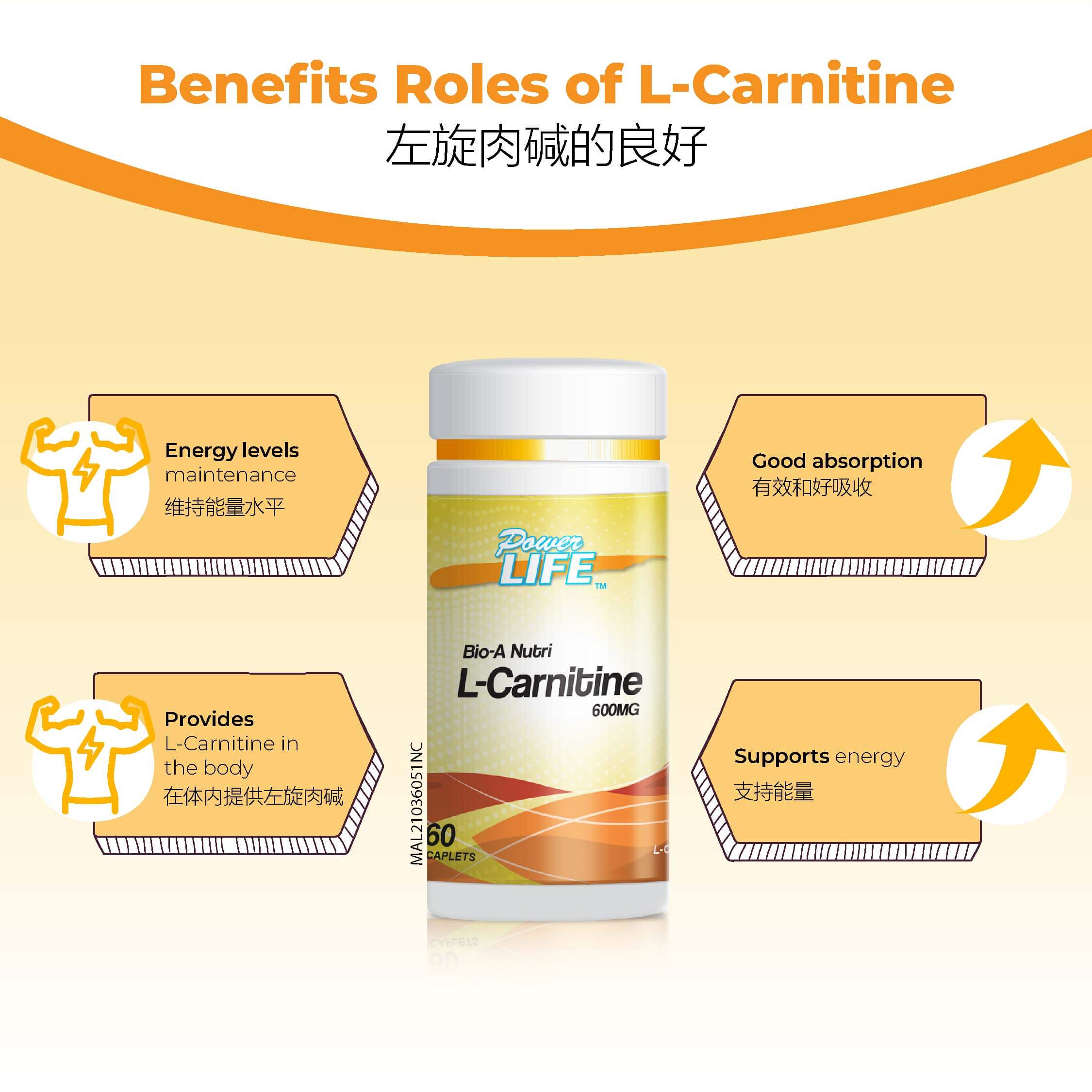 l carnitine untuk apa Emrald Labs Acetyl L-Carnitine main image 1