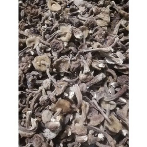 50g nấm tràm khô