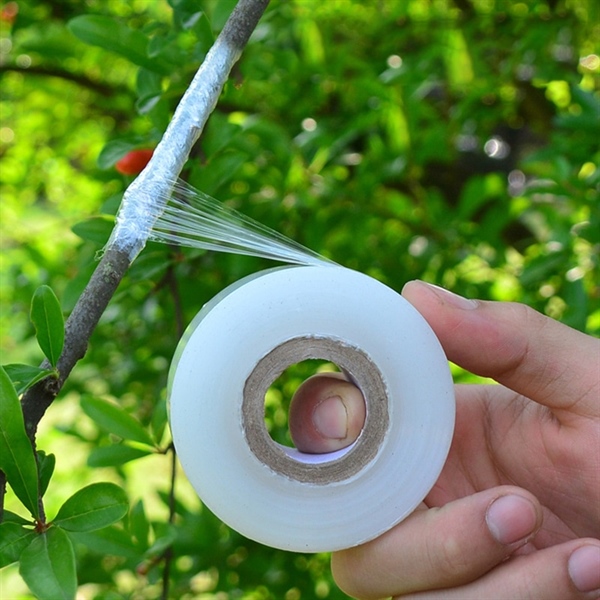Branch filling adhesive tape