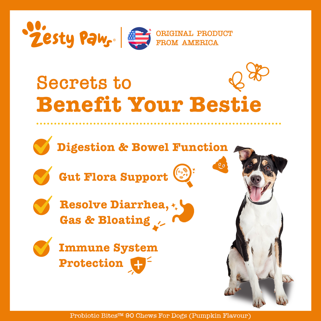 Zesty Paws Probiotic Bites Vị Bí Ngô 90ct