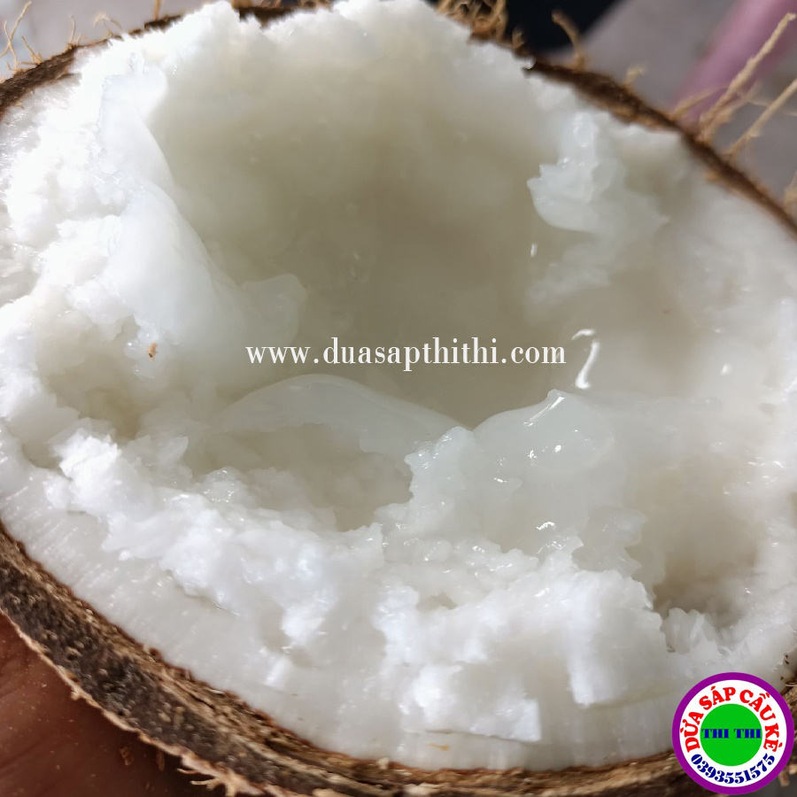 COMBO 2 DỪA SÁP LOẠI 1 TRÁI ĐẶC BIỆT