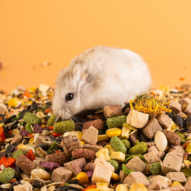 Jessie Brand Hamster Mixed Food