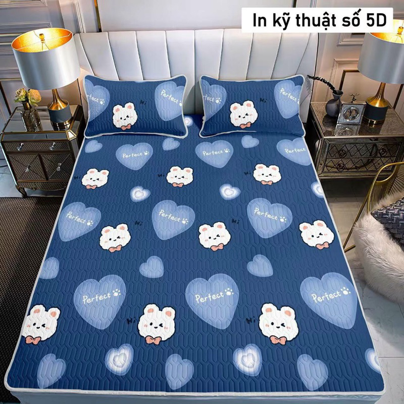 [TẶNG 2 VỎ GỐI] CHIẾU ĐIỀU HÒA TENCEL LATEX CAO SU NON [1m2; 1m4; 1m5]