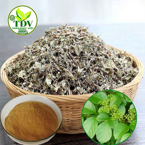 1kg Chè Dây Sapa hổ trợ đau da dày
