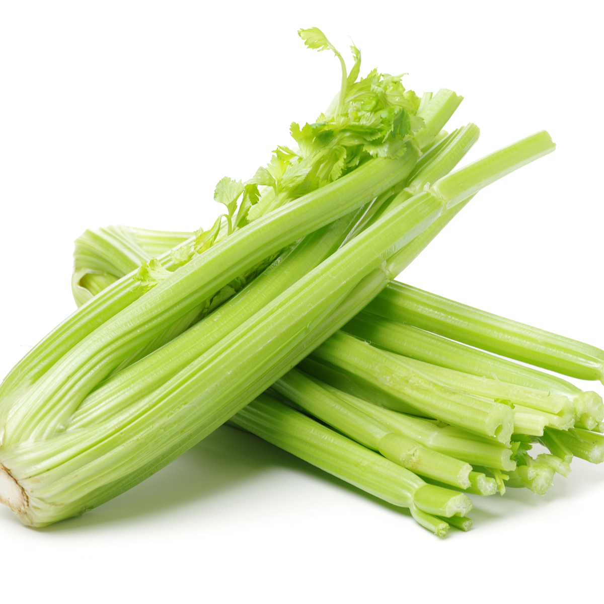 Hạt Giống Cần Tây Mỹ Khổng Lồ