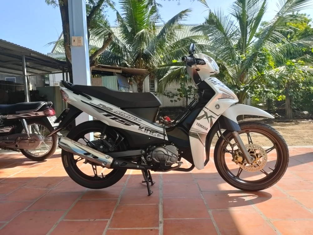 Tem sirius fi trắng đen MXking