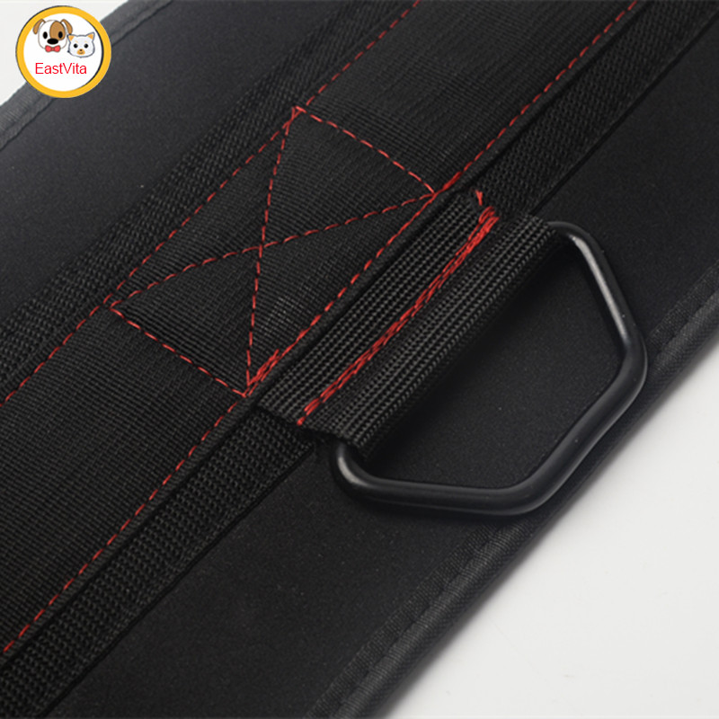 Professional Weightlifting Belt With Chain Gym Workout Pull Ups Belt For Weight Lifting Squat Training Fitness