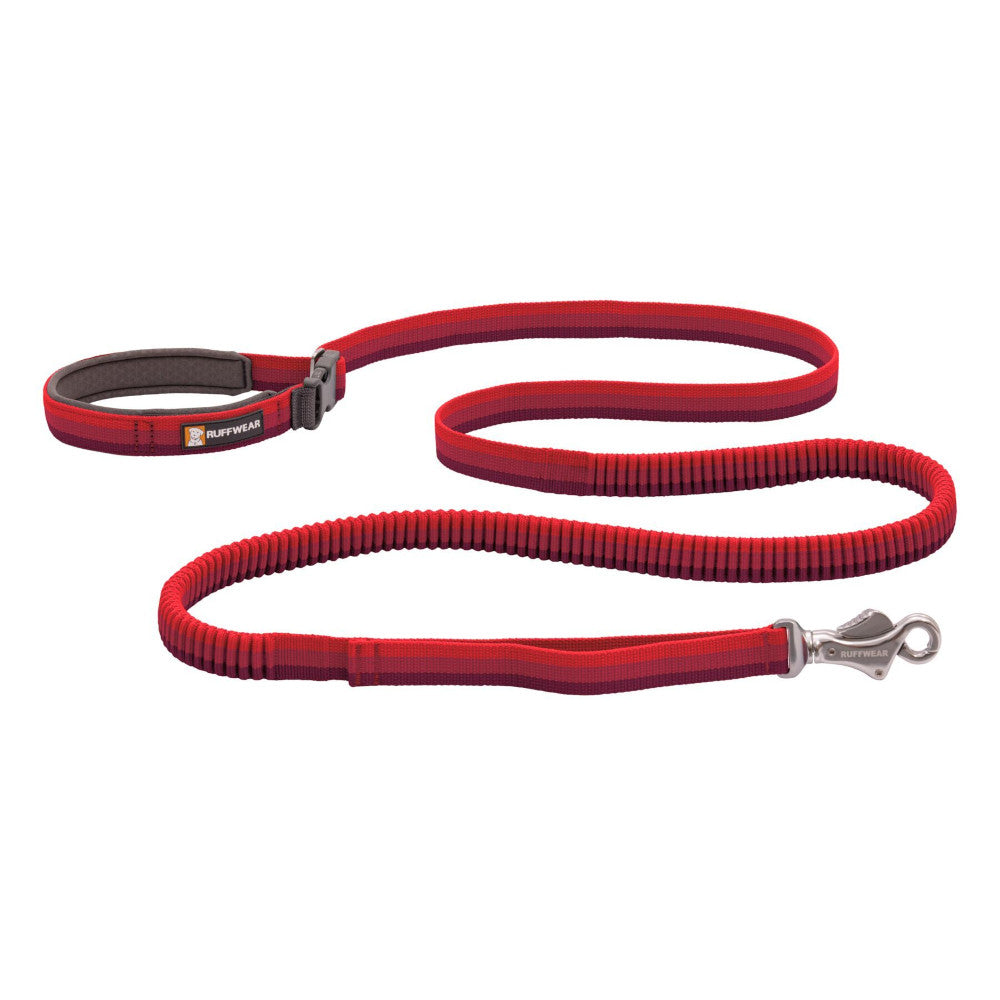 red leashes for dogs