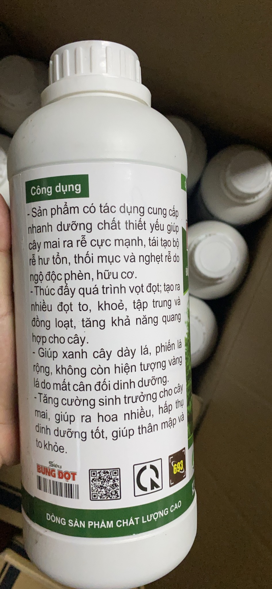 BUNG ĐỌT MAI VÀNG (SIÊU BUNG ĐỌT 1 LÍT)