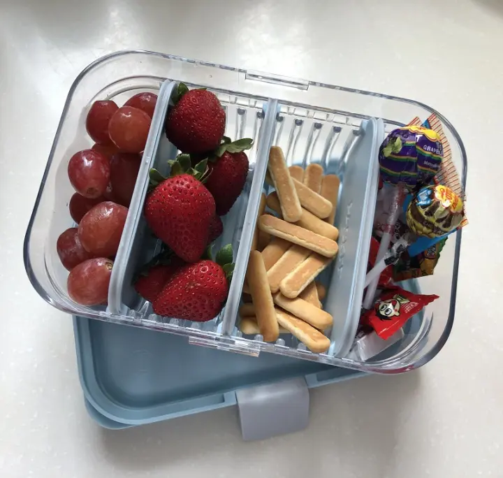 Packit Multi Mod Bento Lunch Food Container Storage Box With Leakproof Cover And Food Divider Suitable For Microwave Lazada Singapore