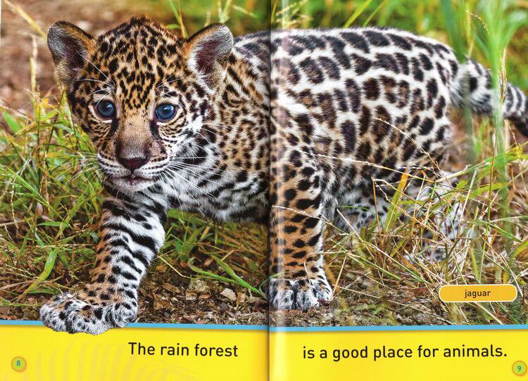 National Geographic Kids level Pre-reader 20 quyển