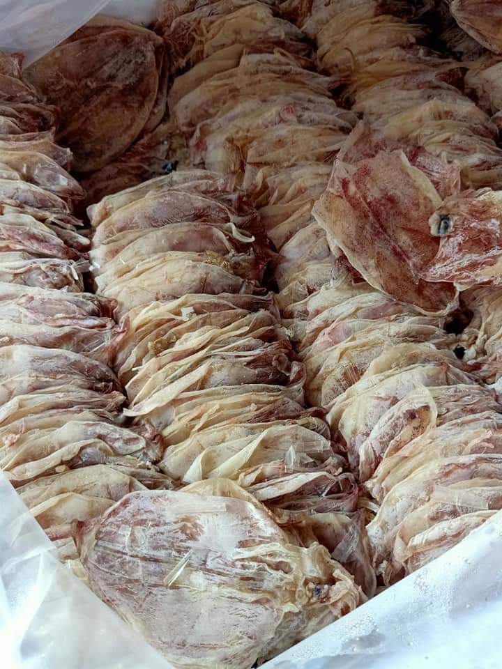 Combo 50 con mực khô ngon