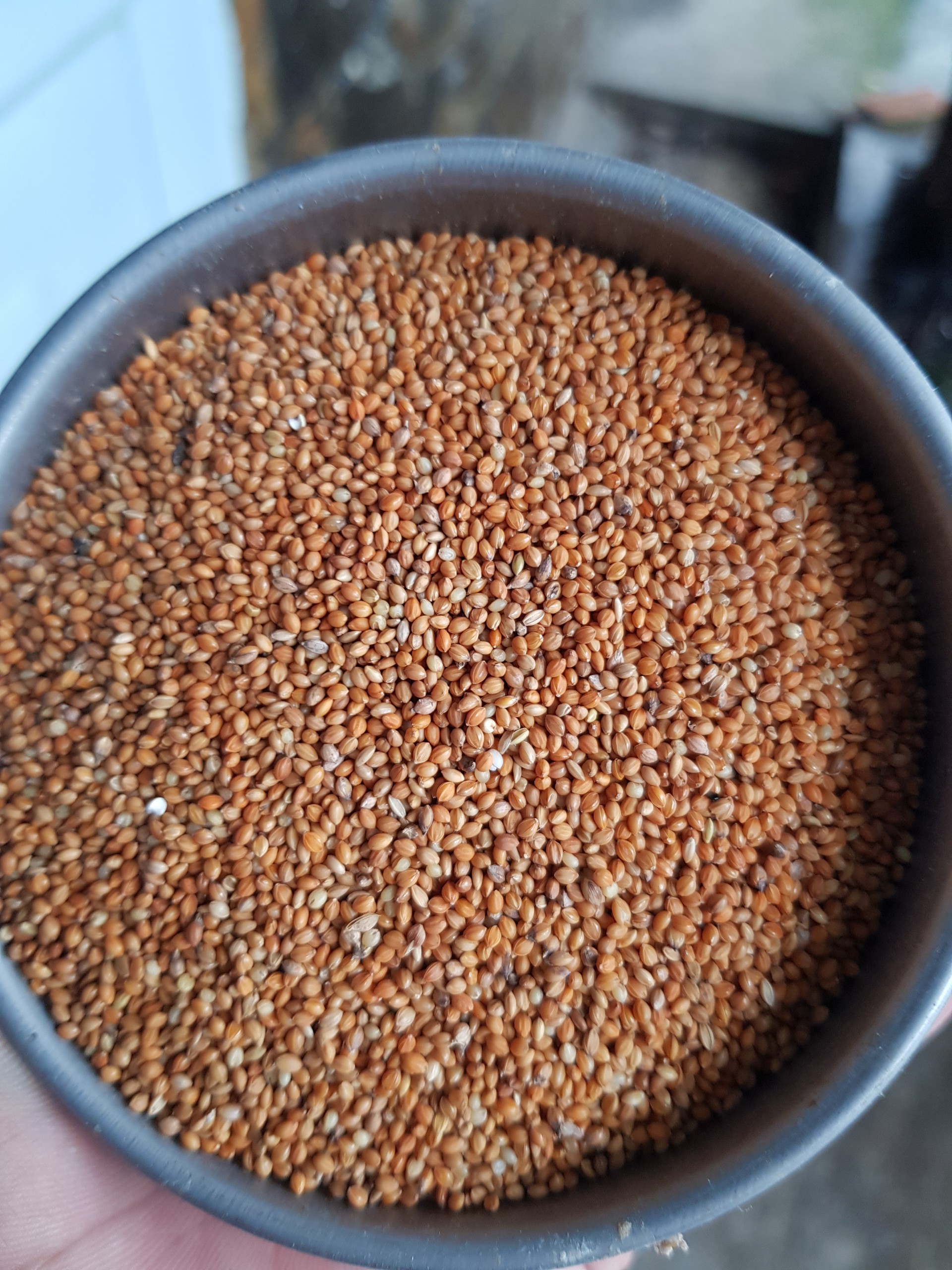 Kê đỏ hạt nhỏ (xuất xứ ấn độ) gói 1kg