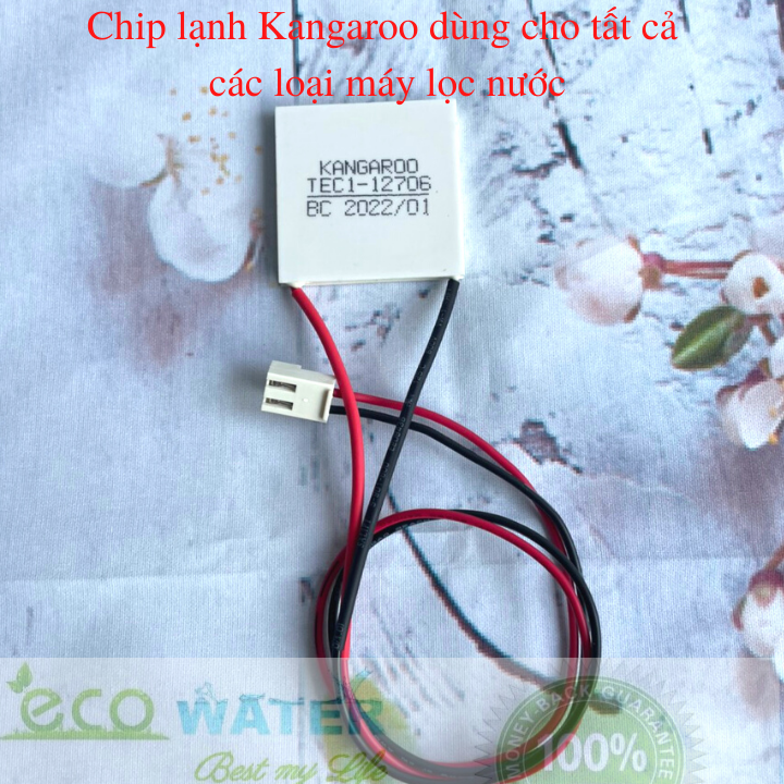 Sò chíp lạnh Kangaroo TEC1-12706