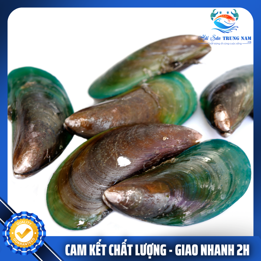 Vẹm Nửa Mảnh Nhập Khẩu Túi 1KG