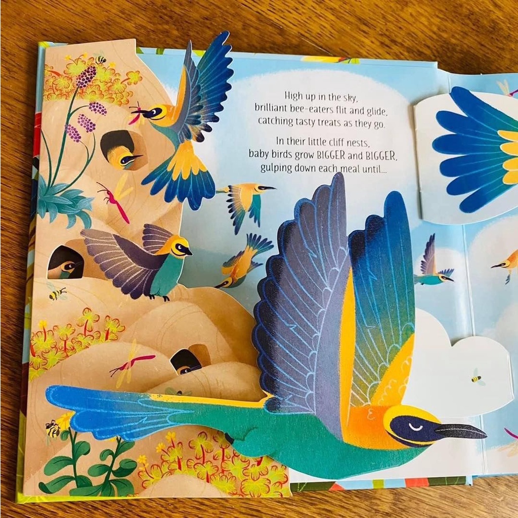 Usborne Pop Up - Fairy Tales