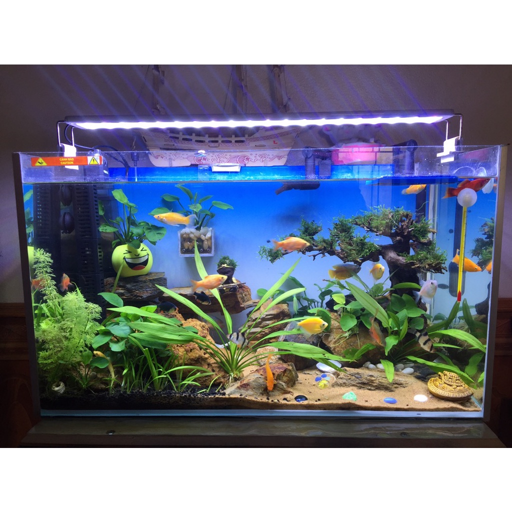 Đèn led siêu sáng WRGB thế hệ mới 6 hàng bóng chuyên dụng cho bể cá cảnh thủy sinh- đèn led bể cá giá siêu tốt