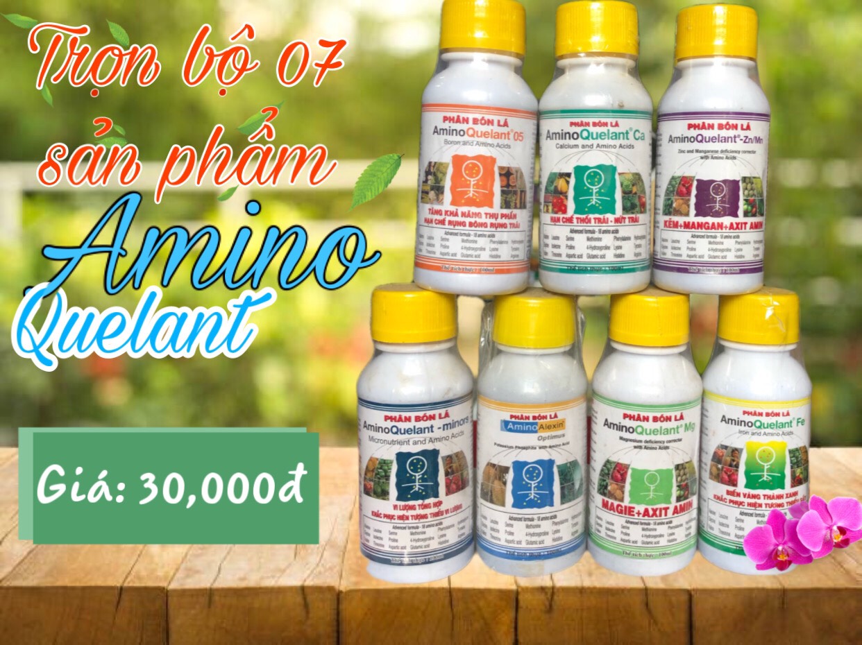 [HCM]Phân Bón Lá Amino Alexin chai 100ml