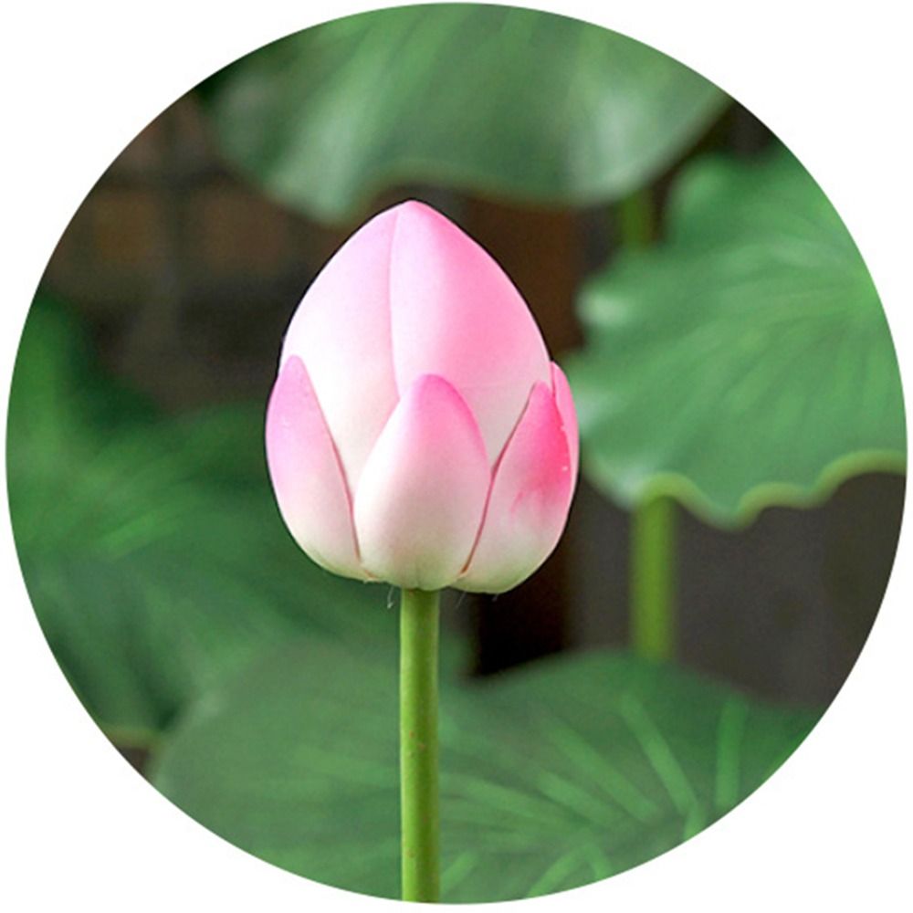 Home%20Ponds%20Decor%20Artistic%20Landscape%20Artificial%20Flower%20DIY%20Decoration%20Long%20Stem%20Decorative%20Fake%20Flower%20Green%20EVA%20Lotus%20Leaf%20Wedding%20Decoration%20-%20Image%204