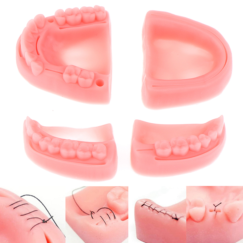 %E3%80%90GlowBound%E3%80%914pcs%20Dental%20Hospital%20Simulation%20Oral%20Suture%20Model%20Gum%20Suture%20Teaching%20Training%20Equipment%20Medical%20Students%20Suture%20-%20Image%204