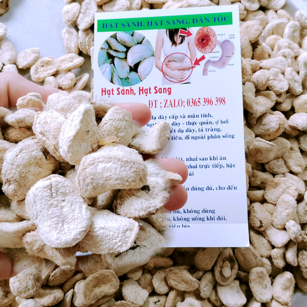 Hạt Sang (Hạt Sành) trắng, chữa đau dạ dày 1gói 10 hạt