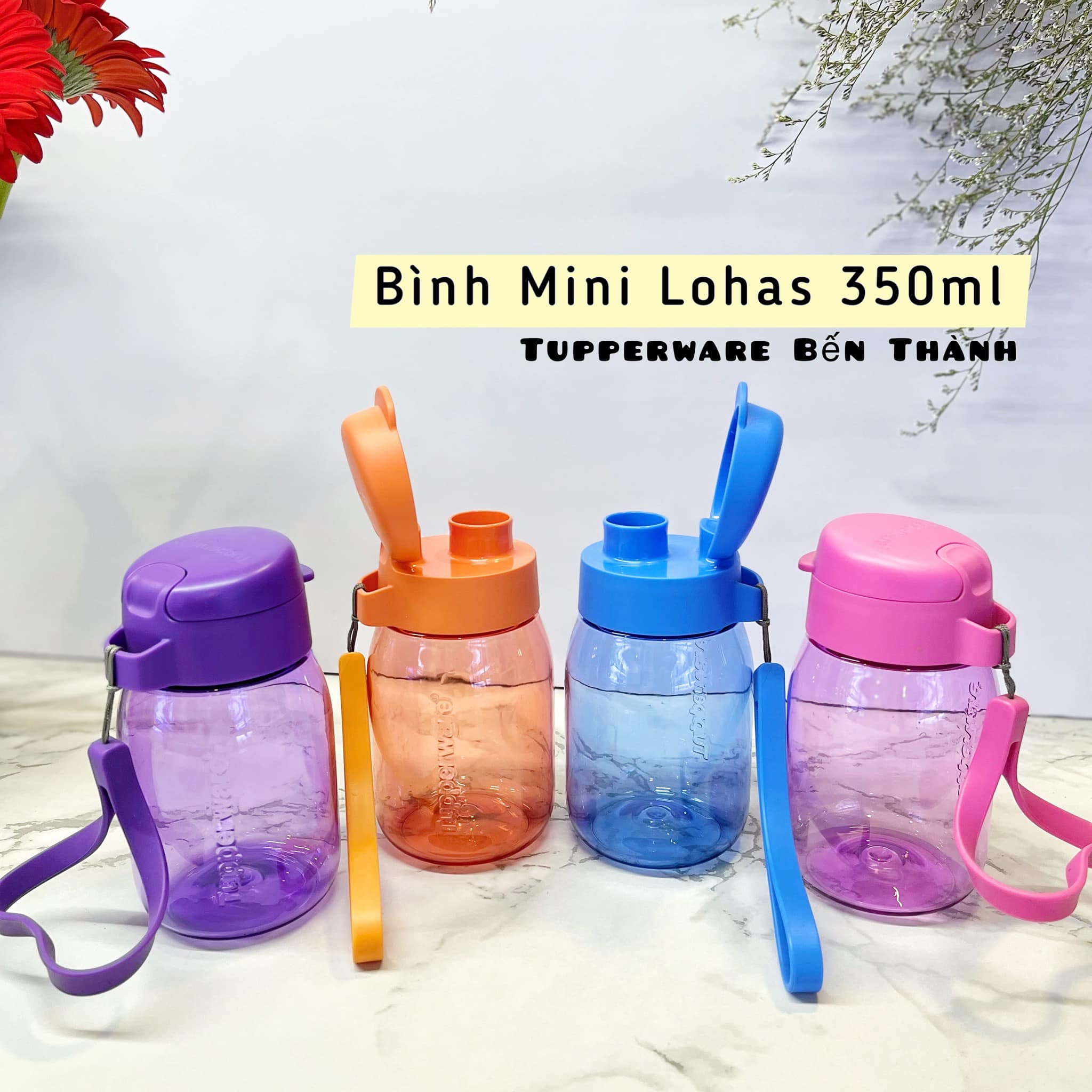 Bình nước MINI LOHAS 350ml