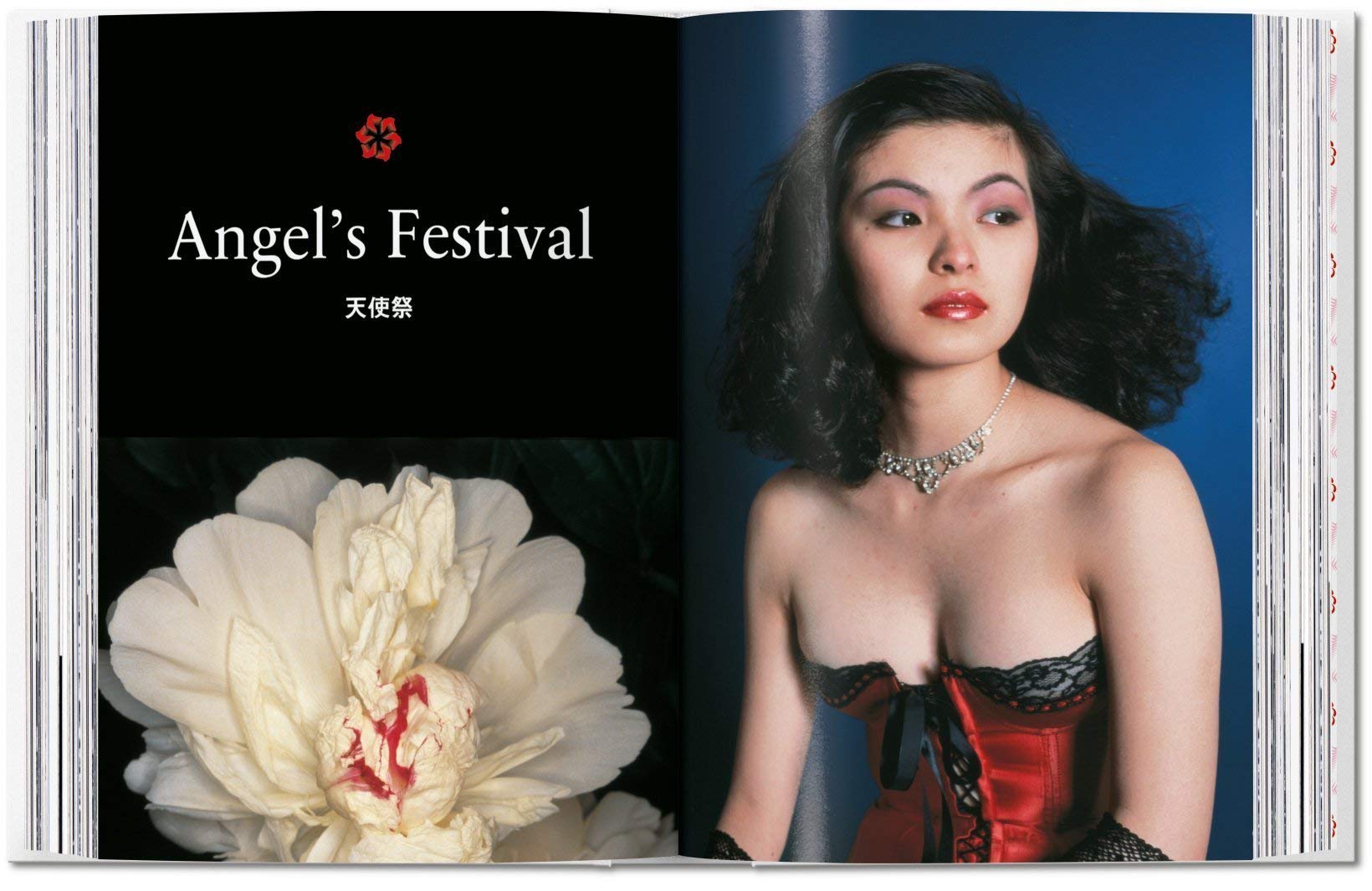 ARTBOOK - Sách Tiếng Anh - Araki