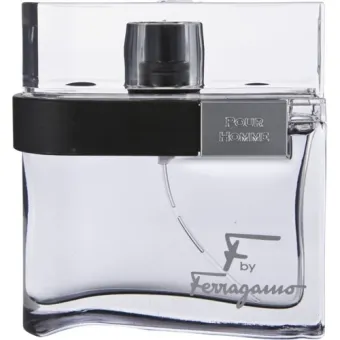 ferragamo black 100ml