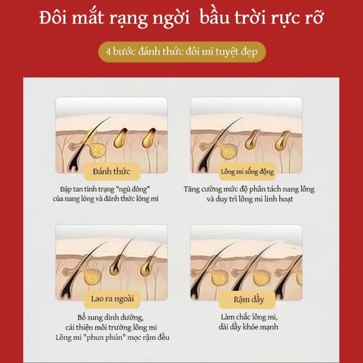 SERUM KÍCH MỌC LÔNG MÀY DÀI DÀY/3ml