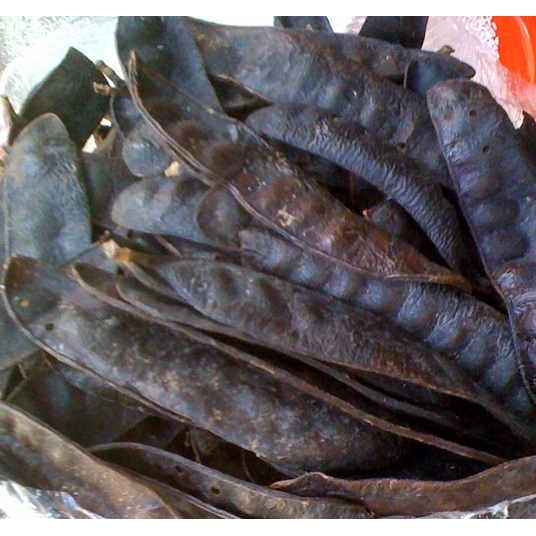 bồ kết khô 1kg