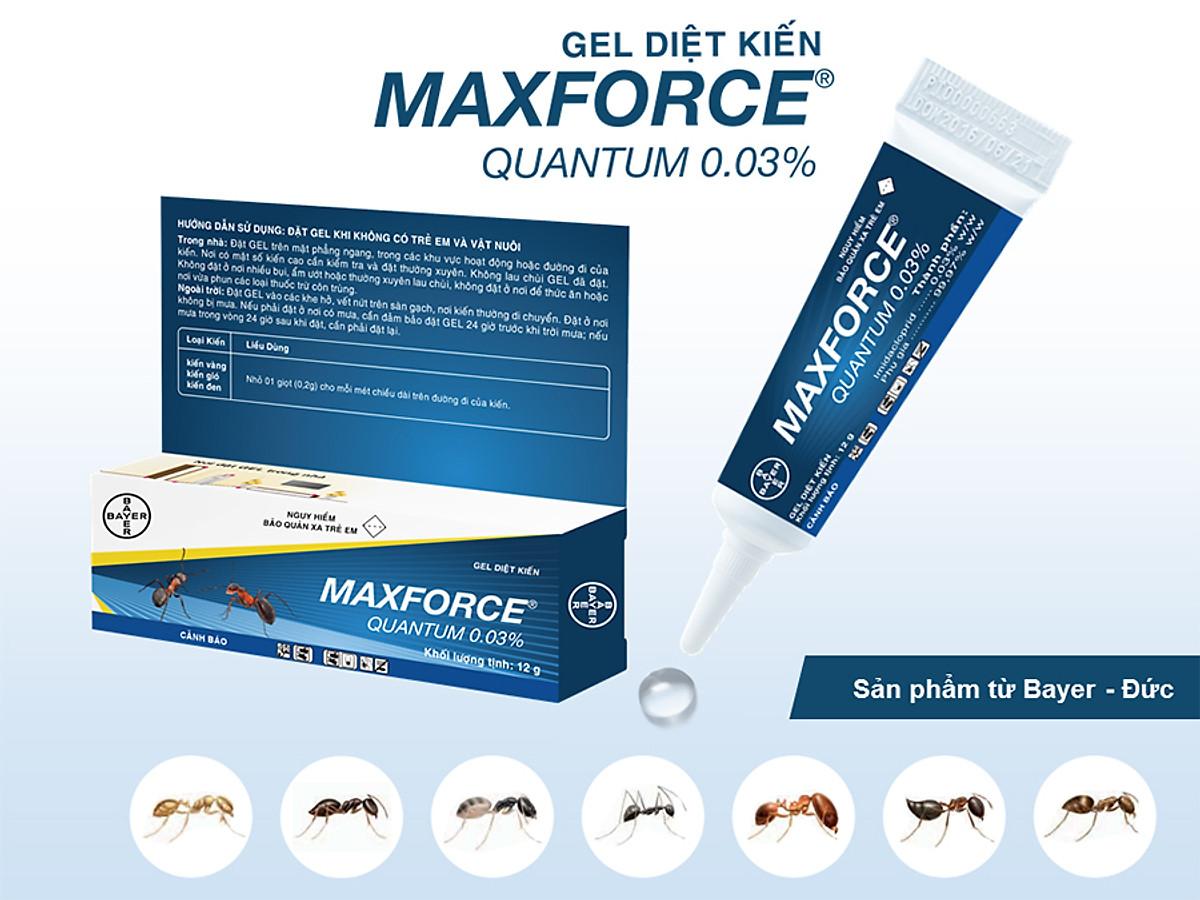 [HCM] Thuốc diệt kiến Bayer Maxforce Quantum 12 gam dạng gel