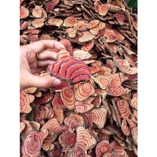 Cây huyết đằng khô 1kg