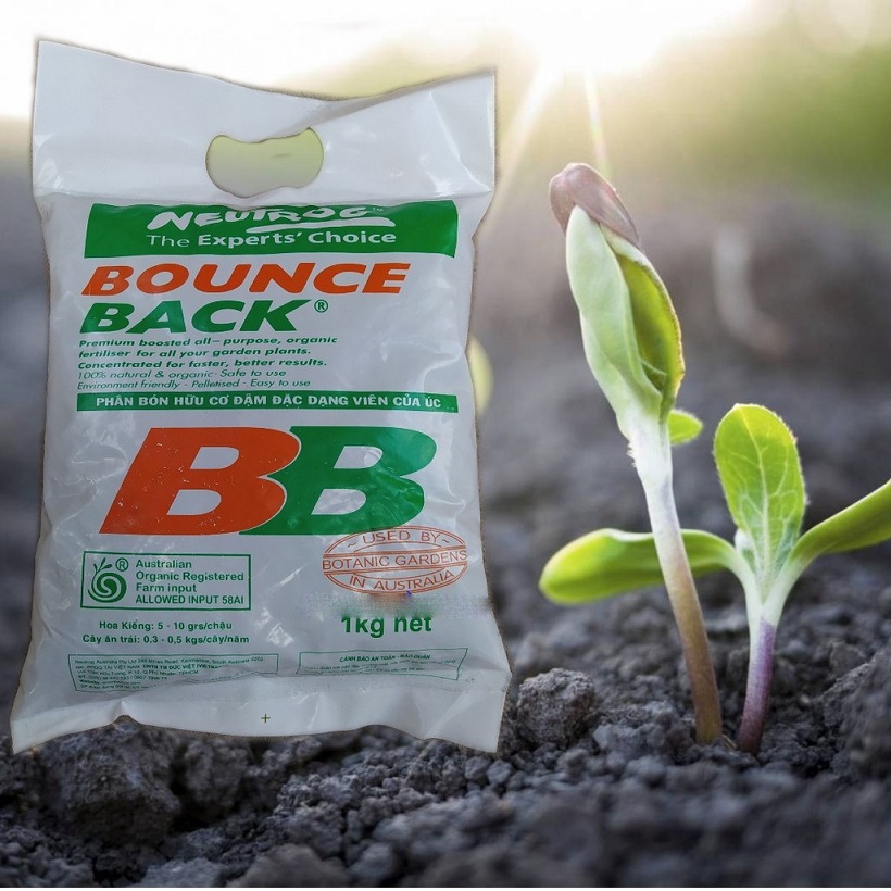 Bounce Back 1kg Phân hữu cơ Úc BB đậm đặc dạng viên