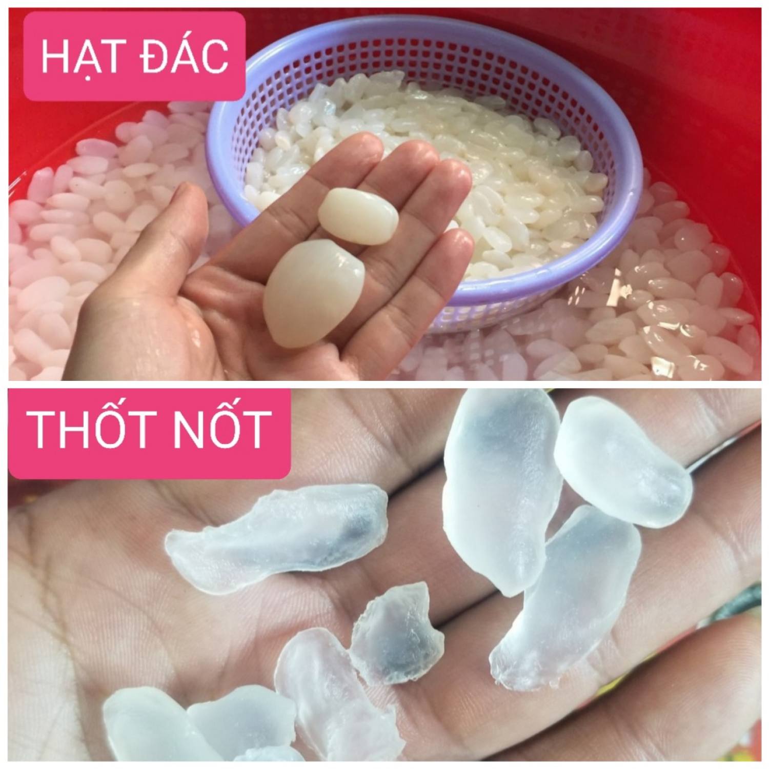 THỐT NỐT SẤY DẺO KHÔNG ĐƯỜNG 500GR