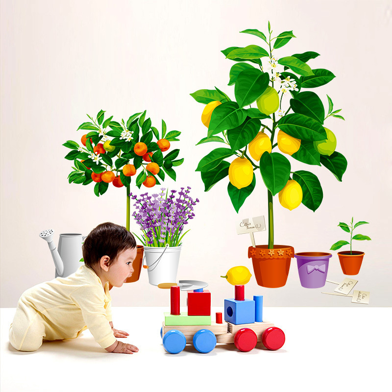 DECAL DÁN TƯỜNG CHẬU CÂY LEMON TREE