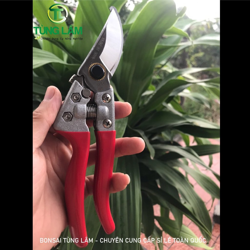 [FREESHIP] Combo 3 Món Dụng Cụ Làm Vườn Cây Cảnh Bonsai (Kéo Cắt Cành  Tay Nhựa , Kéo Cắt Cành Tay Nỉ Và Kéo Cắt Cành Tay Đỏ )