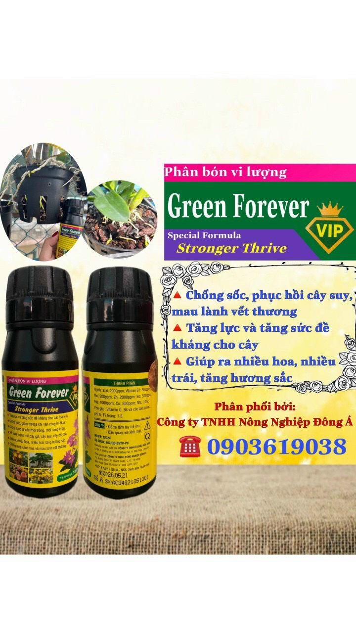 Phân bón vi lượng Green Forever 100ml