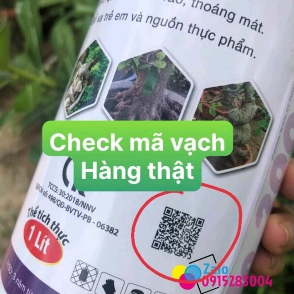 Max root - To Củ Sứ