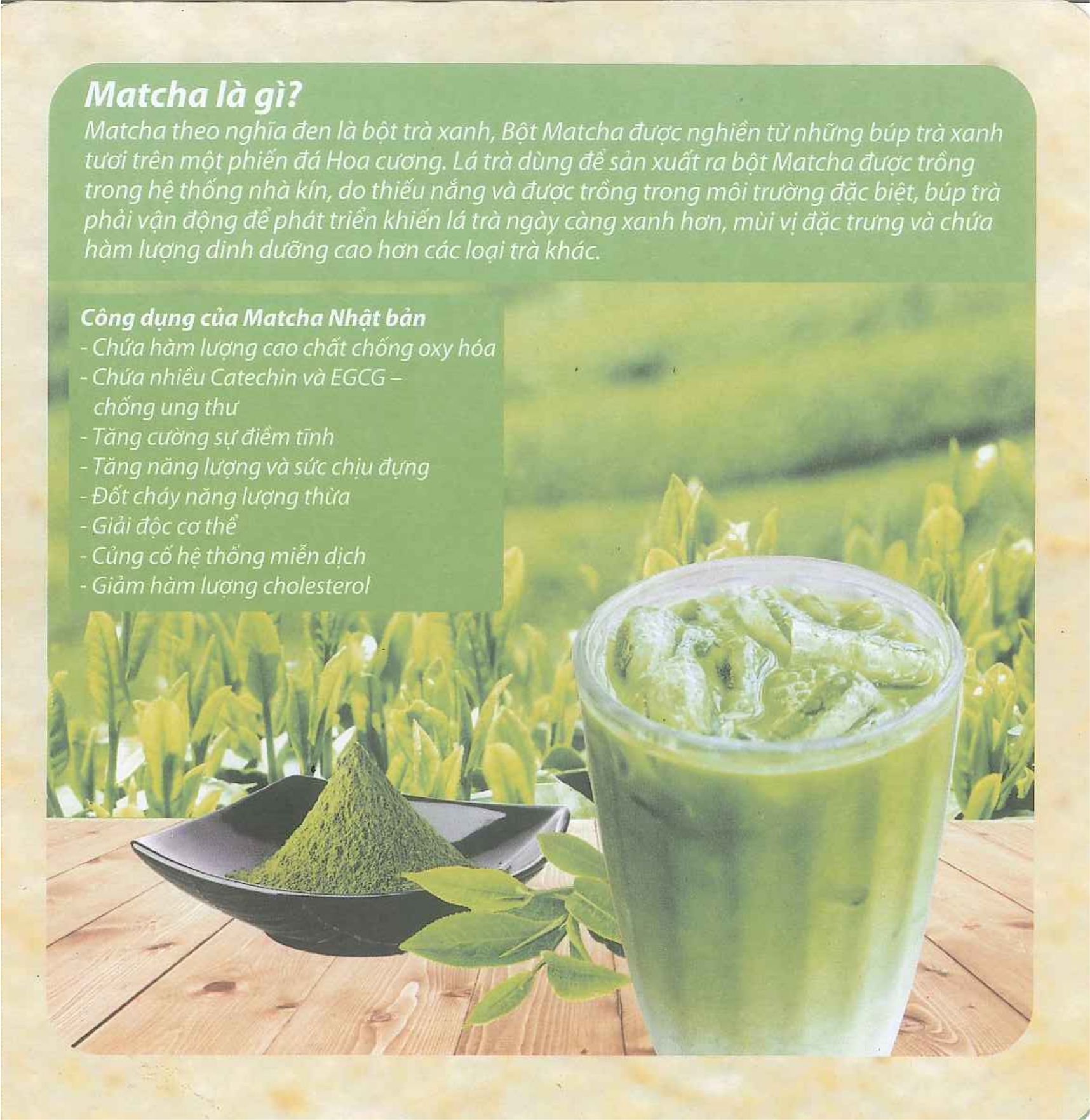 [HCM] Bột trà xanh Matcha gold - 50g