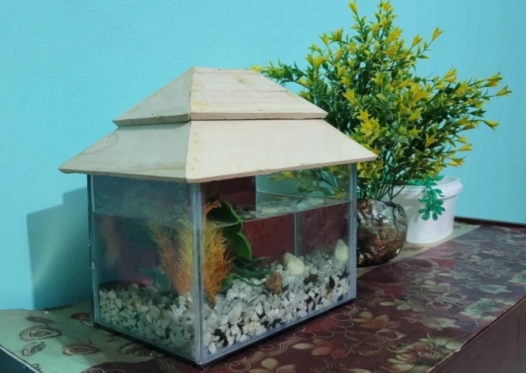 Glass%20Made%20Deshi%20Aquarium%20For%20Fish%20With%20All%20Accessories%20You%20Don't%20Have%20To%20Buy%20Anything%20(Big%20Size%2018x9x10%20Inches)%20-%20Image%206