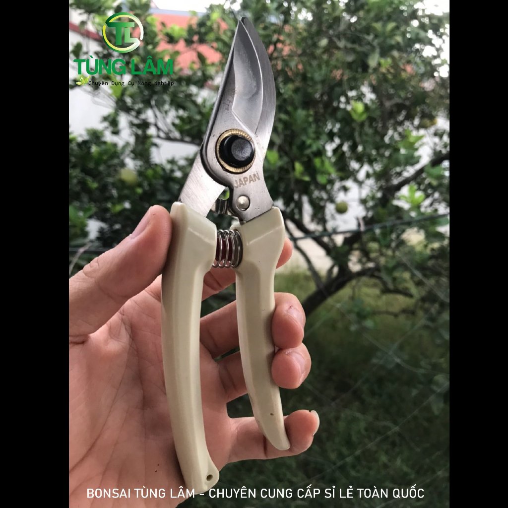 [FREESHIP] Combo 3 Món Dụng Cụ Làm Vườn Cây Cảnh Bonsai (Kéo Cắt Cành  Tay Nhựa , Kéo Cắt Cành Tay Nỉ Và Kéo Cắt Cành Tay Đỏ )