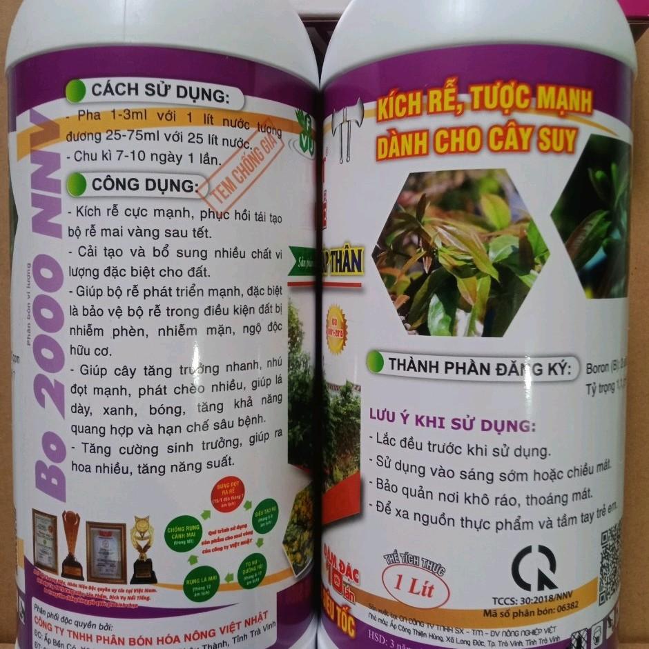 Max root - Bung đọt ra rễ mai vàng
