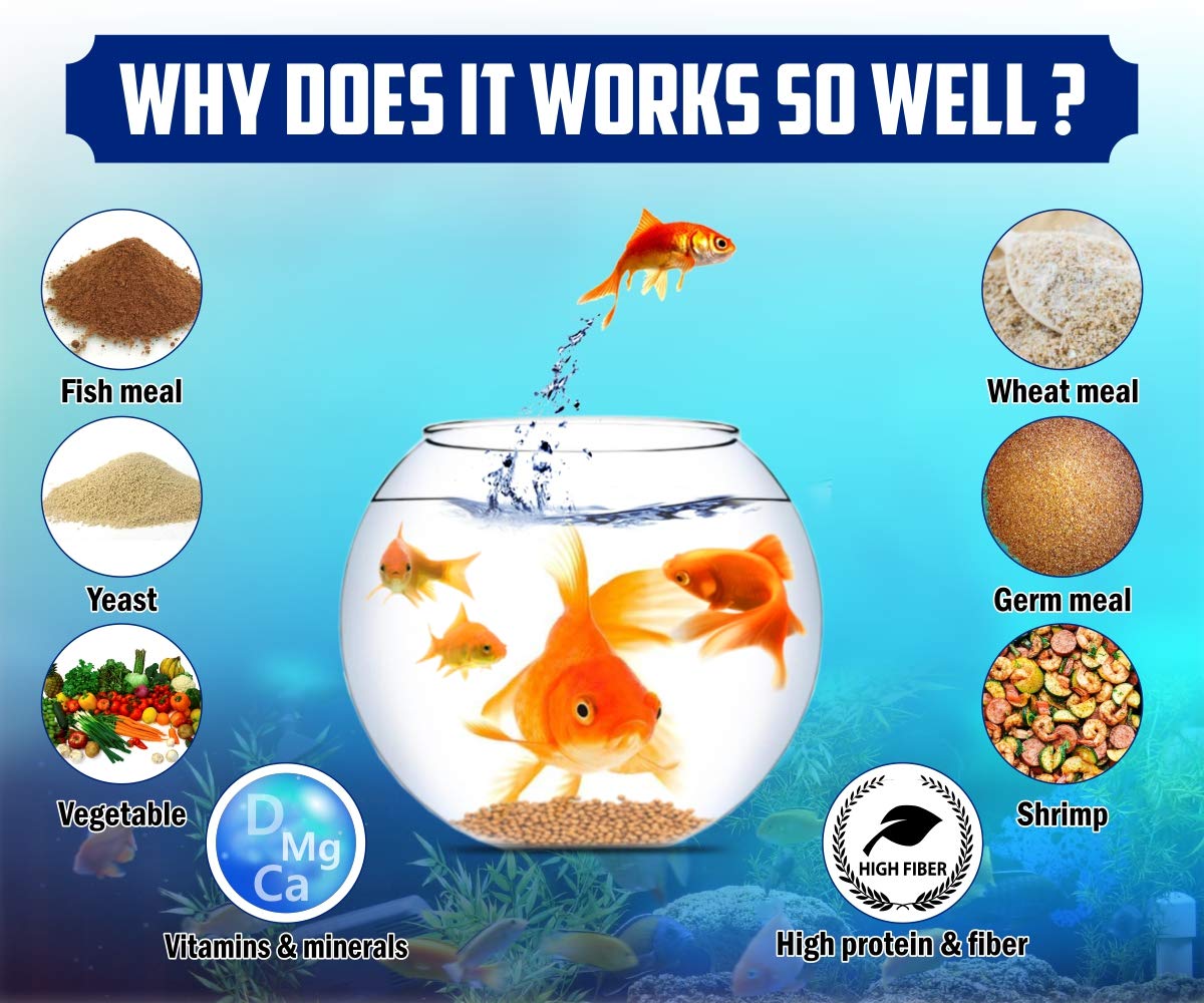 Boltz Granule Fish Food for Growth & Health of All Life Stages, Nutritionist Choice for Aquarium (1 KG). 