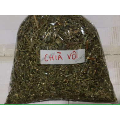 Cây chìa vôi khô