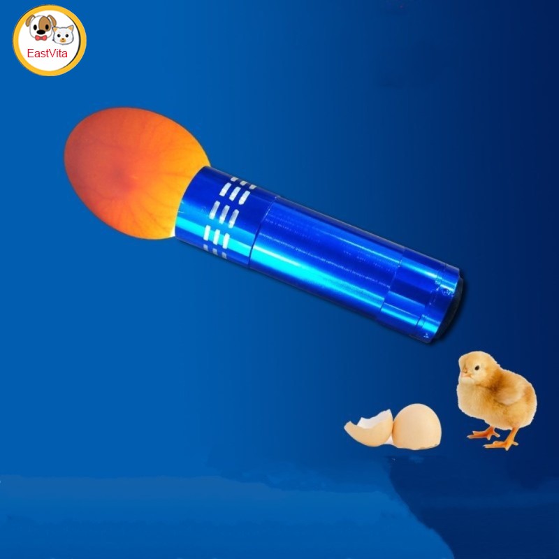 Egg Illuminator For Chicks Ducks Gooses Doves Parrots Birds Egg Tester