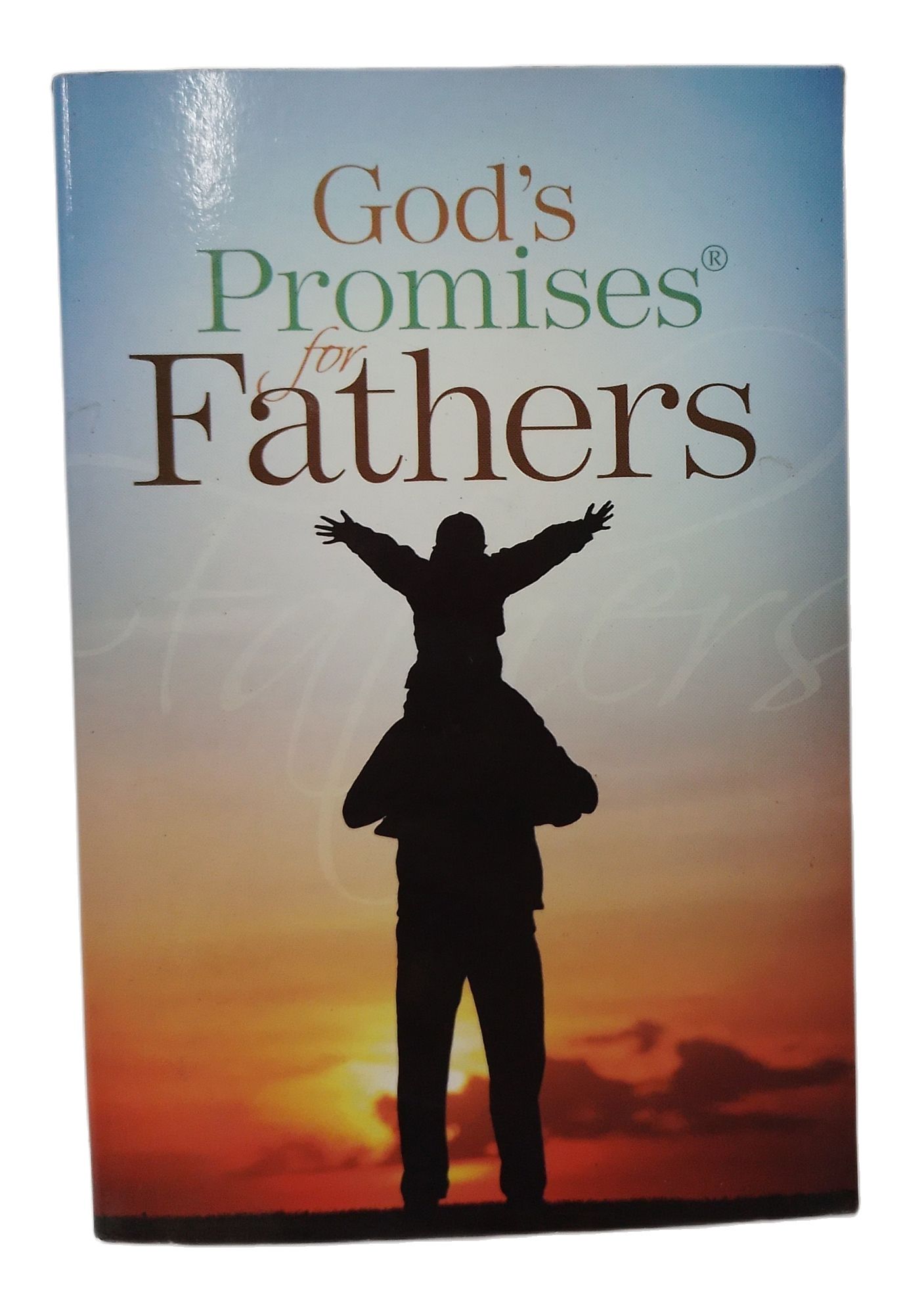 GOD'S PROMISES FOR FATHERS Lazada PH