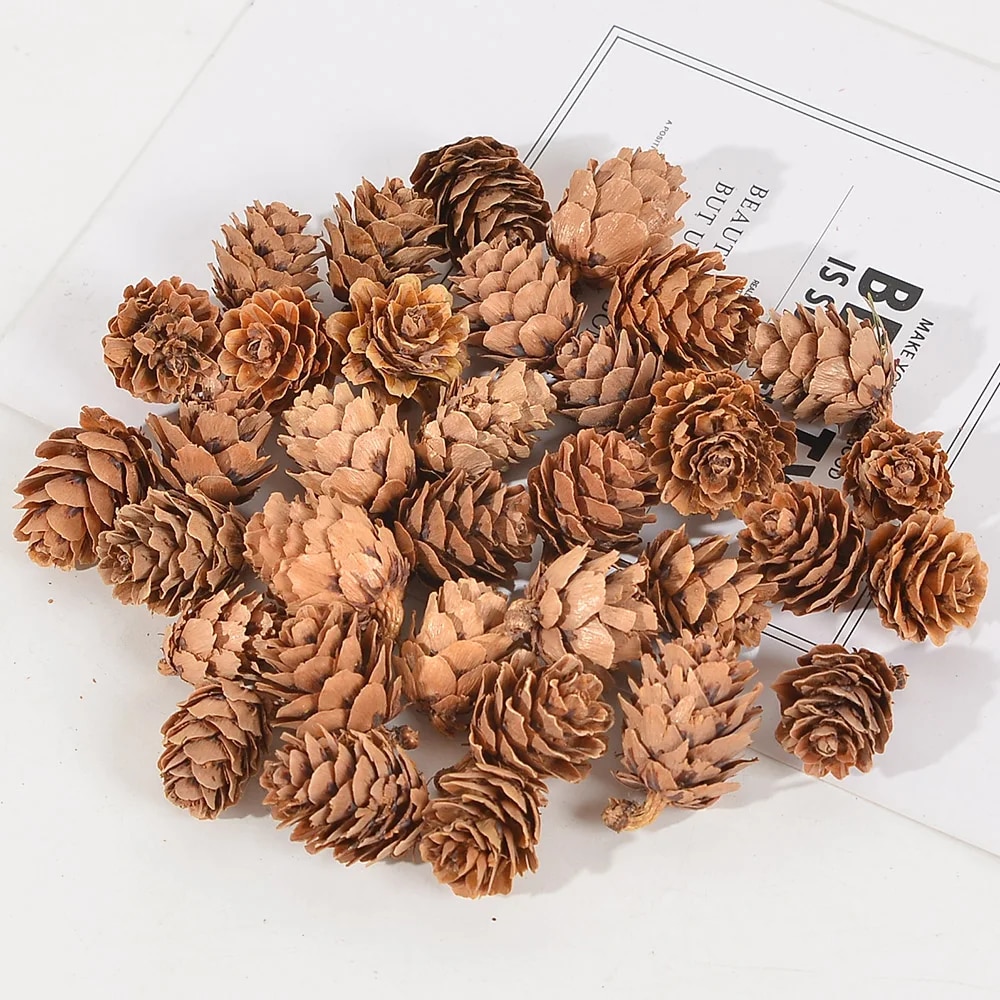 【Worth-Buy】 10/50pcs Natural Mini Pine Nuts Artificial Fruit Vegetable For Diy Home Wedding Decoration Tree Decoration
