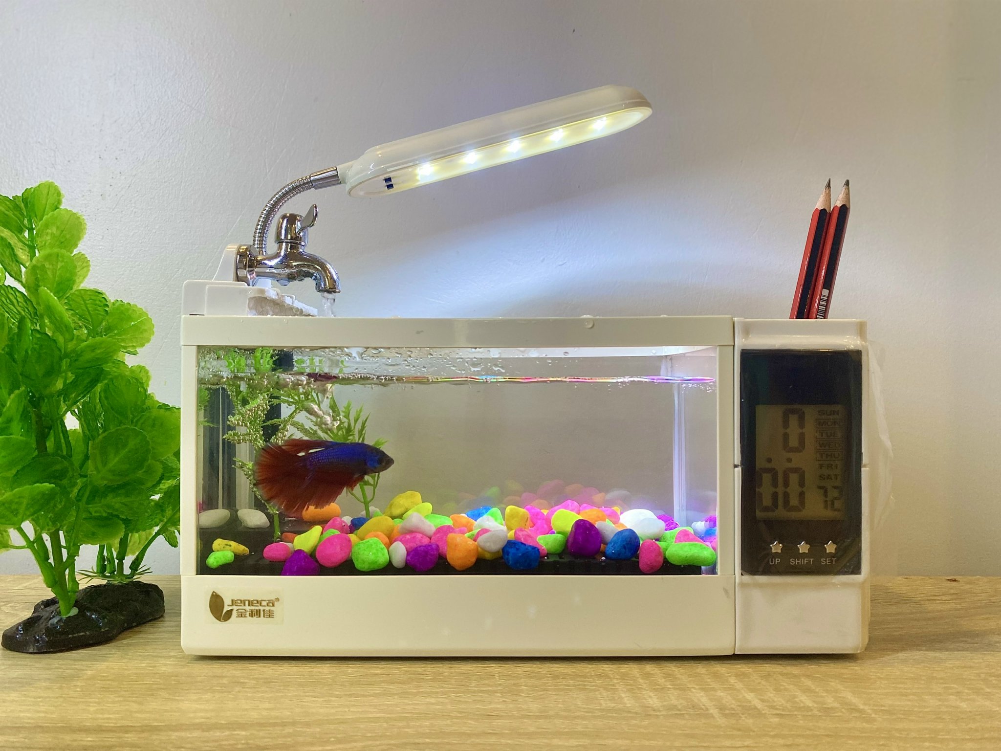 Bể nuôi cá để bàn Jeneca TG-03M
